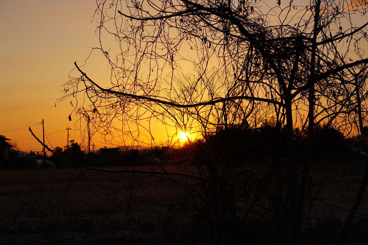 sunset, silhouette, bare tree, tranquil scene, tranquility, orange color, sun, scenics, landscape, beauty in nature, nature, sky, field, idyllic, branch, tree, sunlight, non-urban scene, outdoors, no people