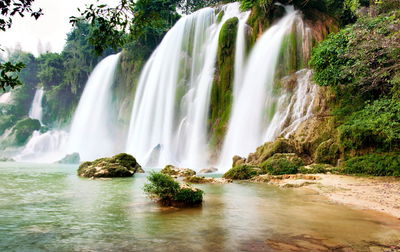 Scenic view of waterfall in forest