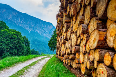 View of empty road amidst trees and mountains against sky