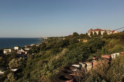 Plants by sea against clear sky