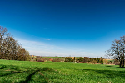 Scenic view of field against blue sky