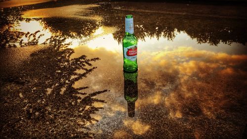 Reflection of trees in puddle