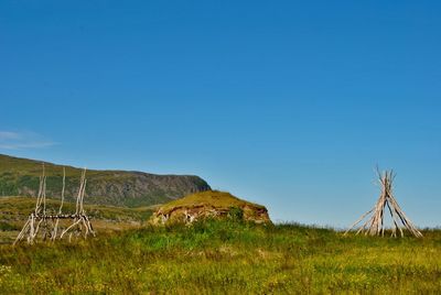 Scenic view of grassy field against blue sky