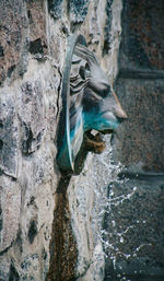 Close-up of statue by water