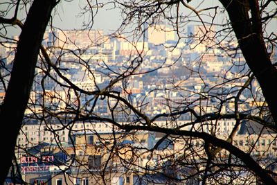 Low angle view of bare tree against sky