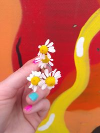 Close-up of hand holding multi colored flower