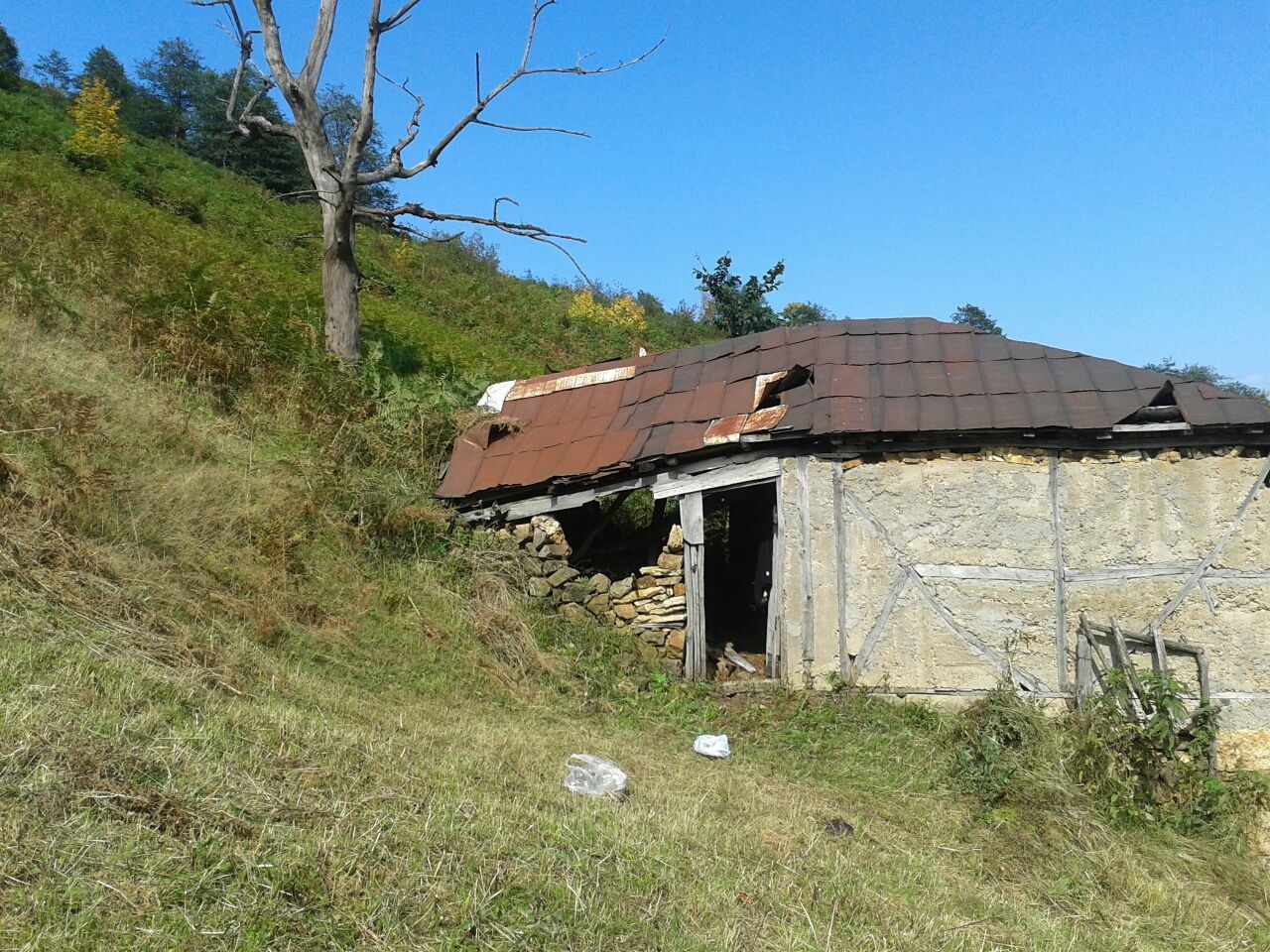 built structure, architecture, building exterior, clear sky, abandoned, grass, old, obsolete, damaged, house, blue, run-down, tree, deterioration, plant, copy space, field, sunlight, day, low angle view