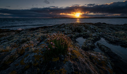 Scenic view of sea against sky during sunset