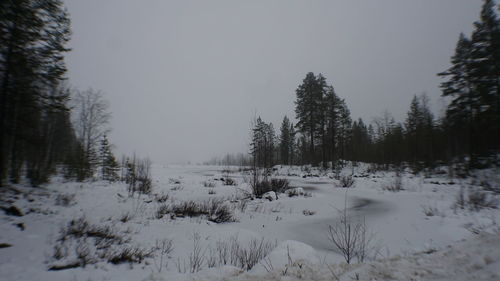 Trees on snow covered field against sky