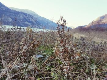 Low angle view of spider web on mountain against sky