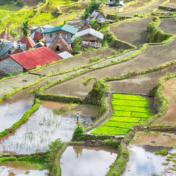 High angle view of agricultural field by buildings
