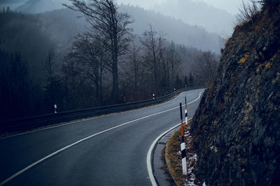 Road amidst trees and plants during foggy weather