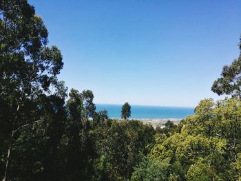 Scenic view of sea against clear blue sky