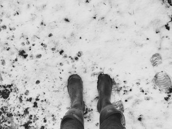 Low section of person standing on snow covered land