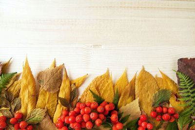 Close-up of fruits on leaves