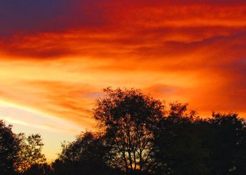 Low angle view of silhouette trees against orange sky