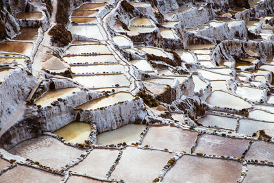 High angle view of ice cream