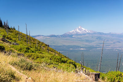 Scenic view of landscape against clear blue sky