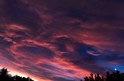 Low angle view of silhouette trees against dramatic sky