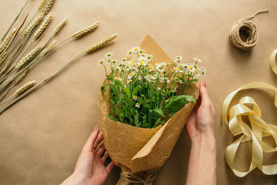 Midsection of woman holding flower on plant