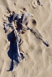 High angle view of footprints on sand at beach