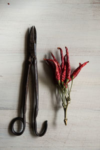 Directly above shot of scissors by dried red chili peppers on table