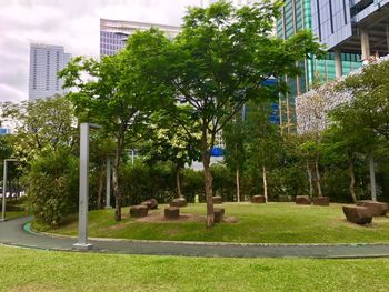 Trees in city against sky