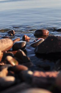 Surface level of rocks at shore