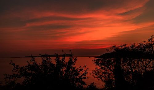 Silhouette trees by sea against romantic sky at sunset