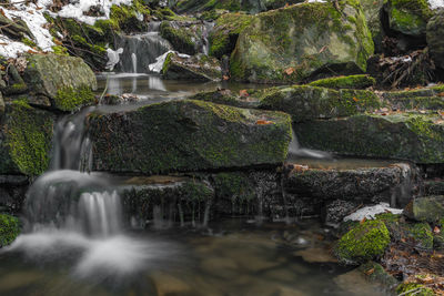 View of waterfall in forest