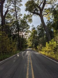 Empty road amidst trees against sky