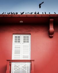 High angle view of birds on building