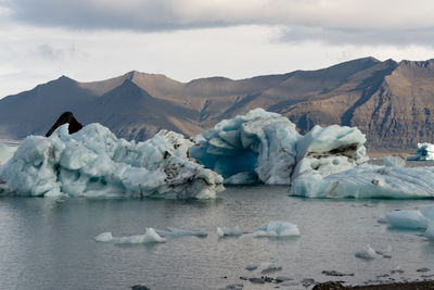 Jökulsárlón glacier lake in iceland