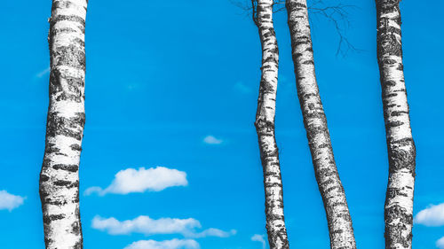 Low angle view of tree against blue sky