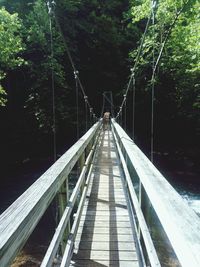 View of footbridge along trees