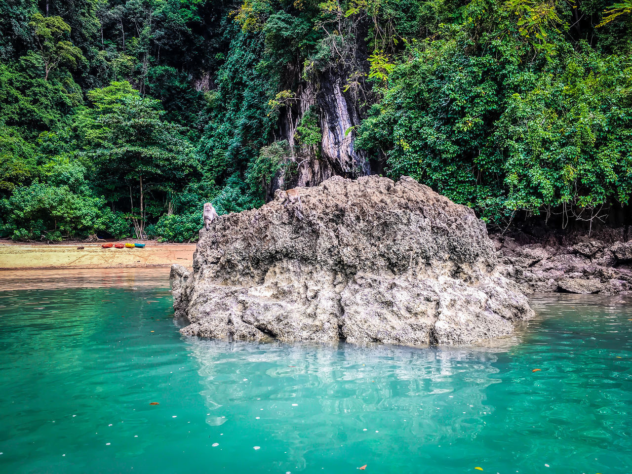 water, tree, plant, nature, beauty in nature, tranquility, rock, land, scenics - nature, tranquil scene, day, green, growth, no people, waterfront, forest, idyllic, lake, outdoors, non-urban scene, jungle, rock formation, turquoise colored, body of water, environment, beach, lagoon