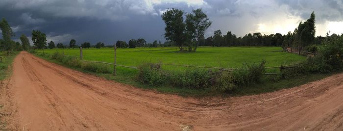 Scenic view of field against sky