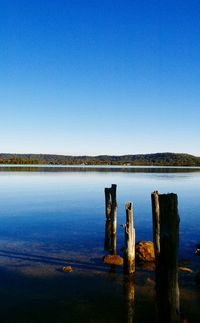 Wooden posts in lake against clear blue sky