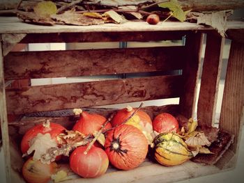 Close-up of food on wooden table