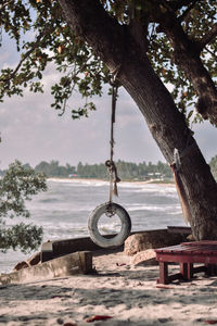 View of hanging from tree trunk at beach against sky