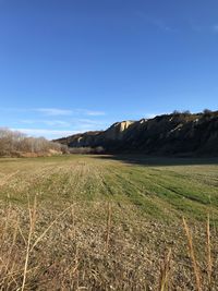 Scenic view of agricultural field against blue sky