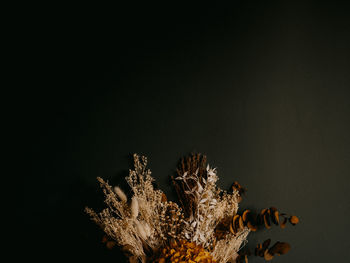 Orange, gold and brown dried preserved flowers