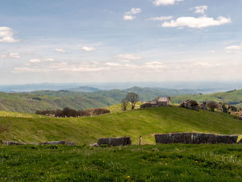 Scenic view of field against sky