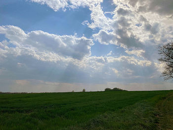 Scenic view of field against sky