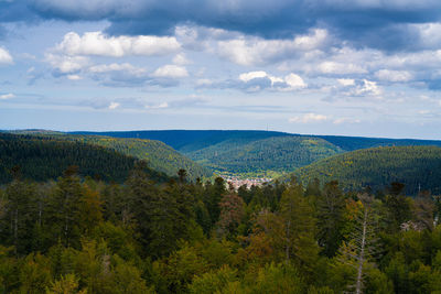 Scenic view of forest against sky