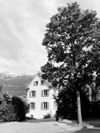 Tree by building against sky