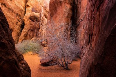 View of rock formations