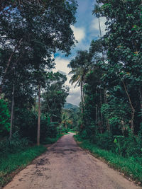 Dirt road amidst trees in forest against sky