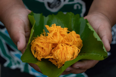 Close-up of hand holding leaf