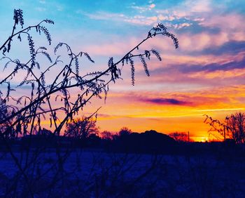 Silhouette bare tree against sky during sunset